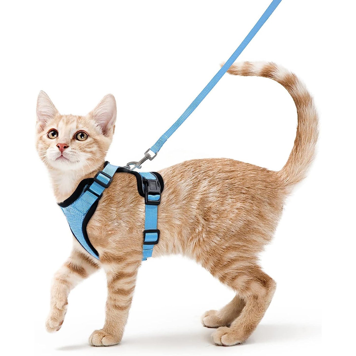 Pet products Cat pneumothorax strap Reflective anti-break cat leash Cat leash adjustable strap