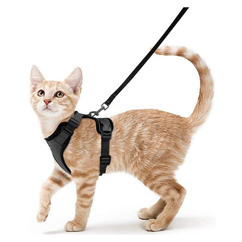 Pet products Cat pneumothorax strap Reflective anti-break cat leash Cat leash adjustable strap