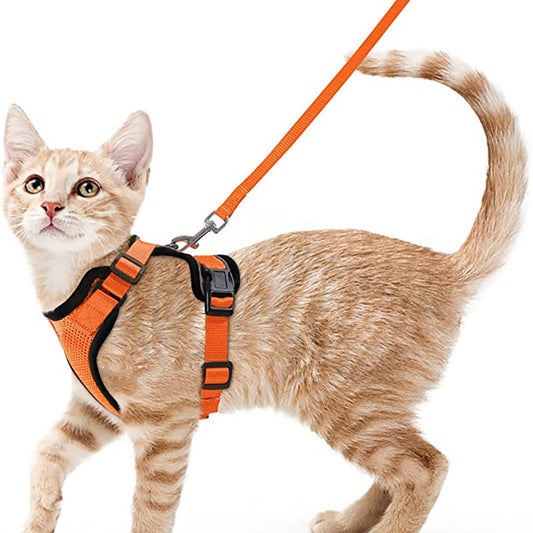 Pet products Cat pneumothorax strap Reflective anti-break cat leash Cat leash adjustable strap
