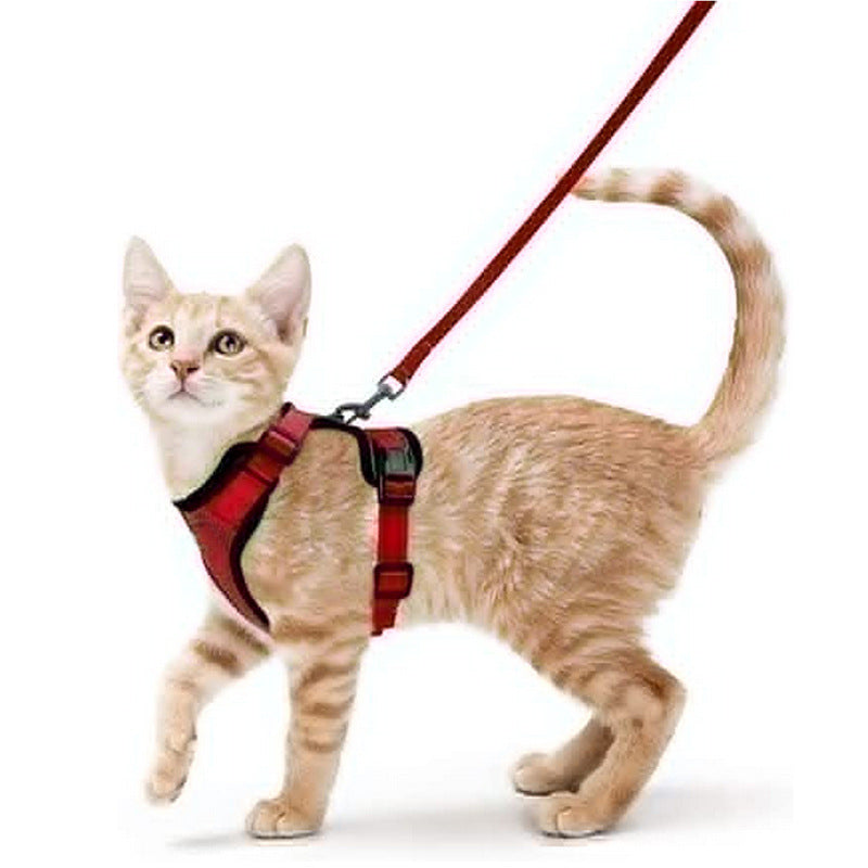 Pet products Cat pneumothorax strap Reflective anti-break cat leash Cat leash adjustable strap