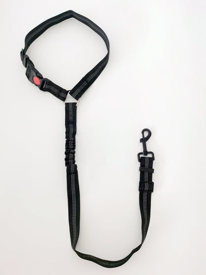 Pet car safety belt rope