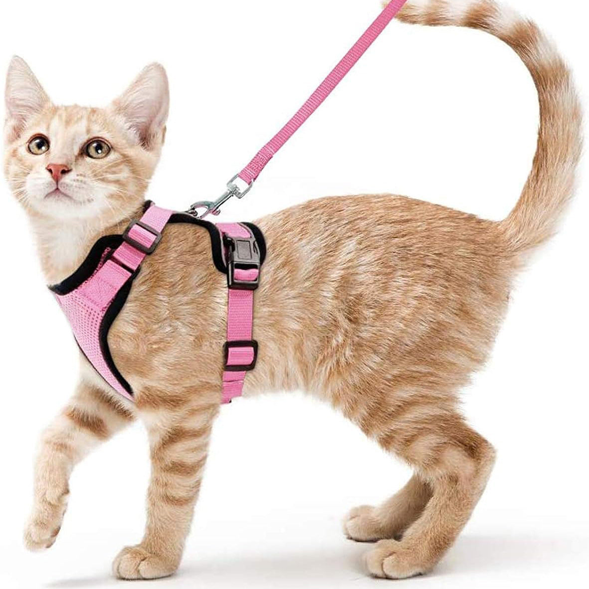 Pet products Cat pneumothorax strap Reflective anti-break cat leash Cat leash adjustable strap