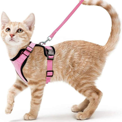 Pet products Cat pneumothorax strap Reflective anti-break cat leash Cat leash adjustable strap