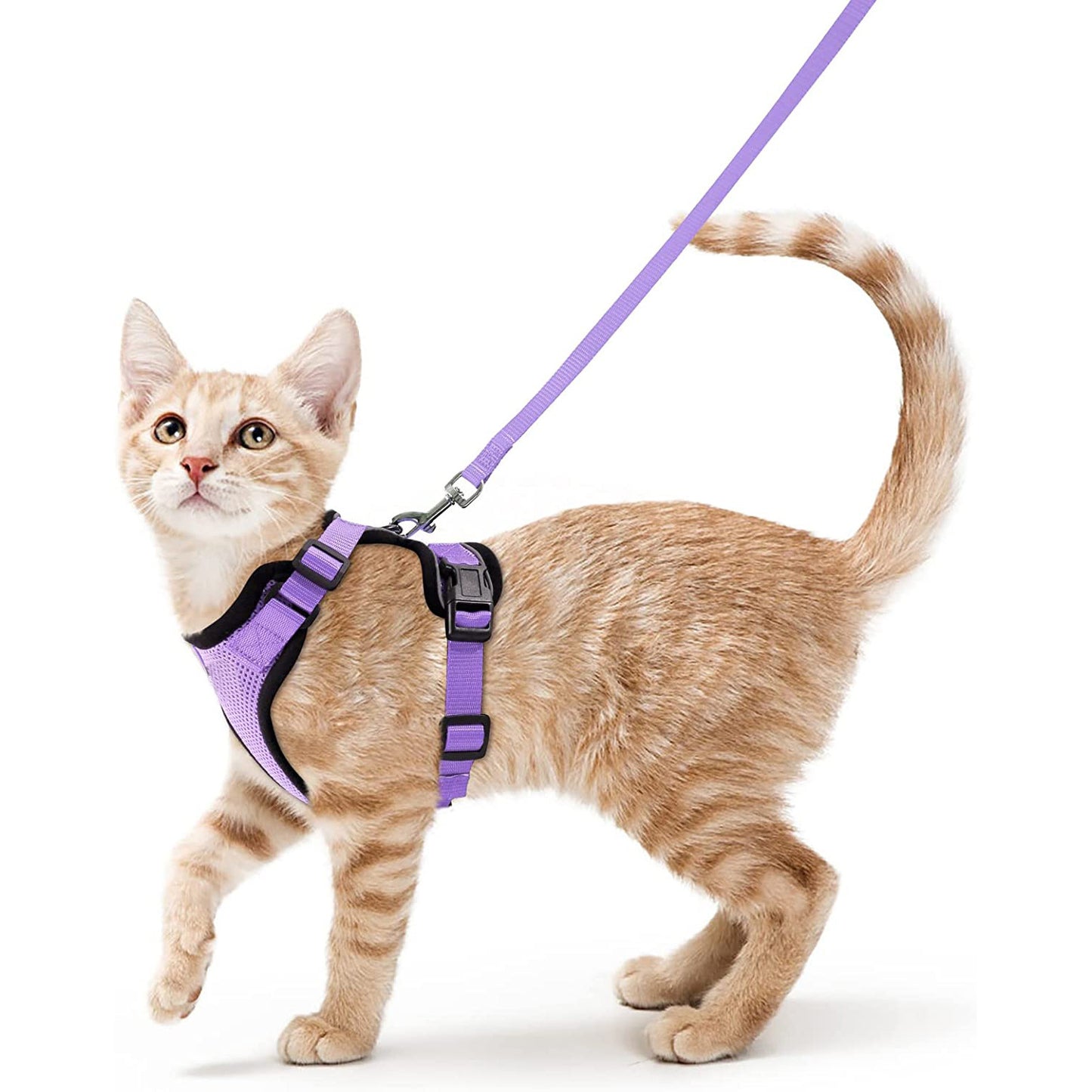 Pet products Cat pneumothorax strap Reflective anti-break cat leash Cat leash adjustable strap